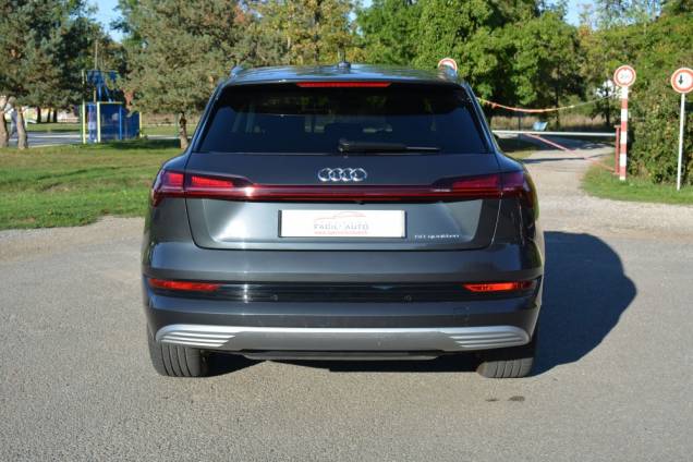 AUDI E-TRON QUATTRO 50 AVUS 313 CV 5