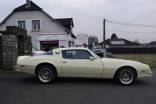 PONTIAC FIREBIRD FORMULA 400 V8 6.6 BVA 10
