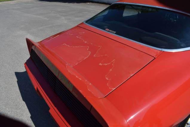 PONTIAC FIREBIRD TRANS AM  403 OLDSMOBILE 6.6L 185 CV MATCHING NUMBER / 1979 / 1ere MAIN EN FRANCE / ORIGINE FLORIDE 31