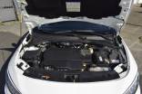 FIAT TIPO LOUNGE 120 CV MJD-TD  17