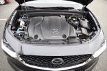 MAZDA CX-30 HOMURA 2.0 e-SKYACTIV-X MILD HYBRID 186 CV BV6 19